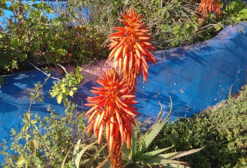 ホテル Quinta Da Fornalha   Santuario Agroecologico