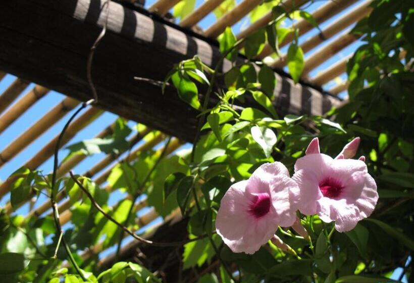 Отель Quinta Da Fornalha Santuario Agroecologico