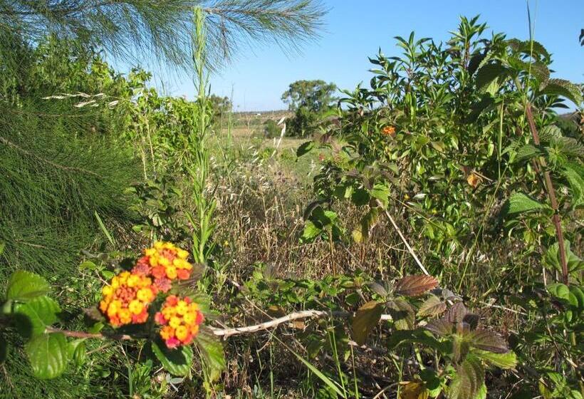 Отель Quinta Da Fornalha Santuario Agroecologico