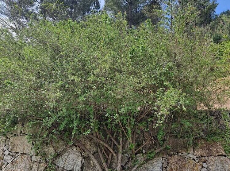 Отель Quinta De Leandres