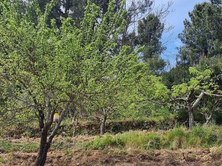 Отель Quinta De Leandres