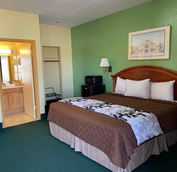 בית מלון כפרי Relax Inn Dilley