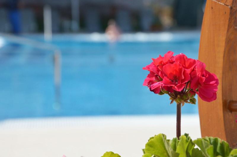 هتل Spa Ice Resort