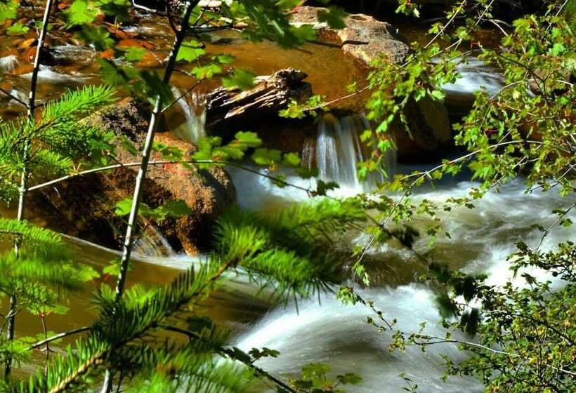 호텔 Stonebrook Resort Adult Only