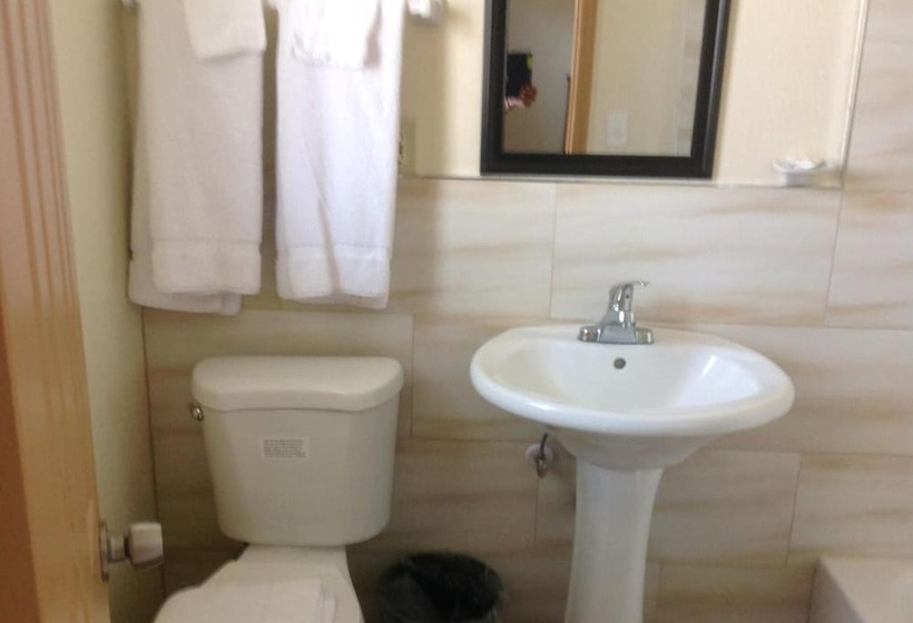 فندق Sunshine Inn Of Daytona Beach