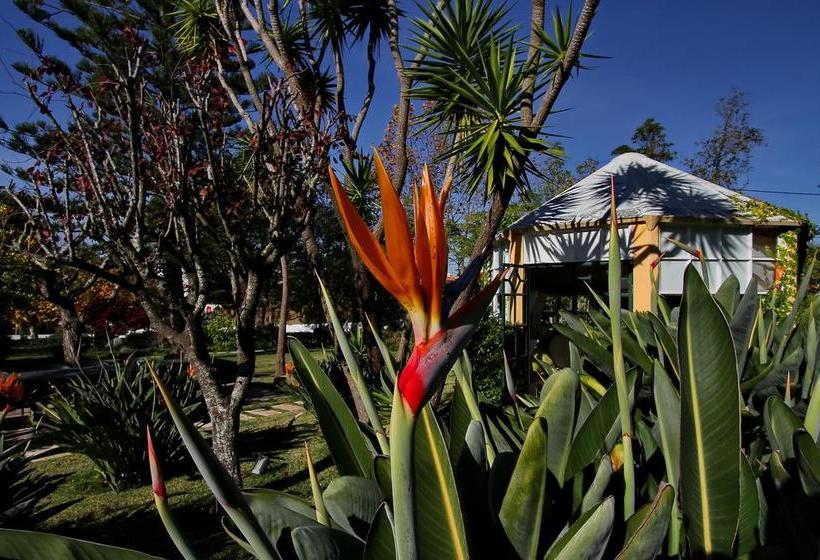 هتل Villa Das Rosas