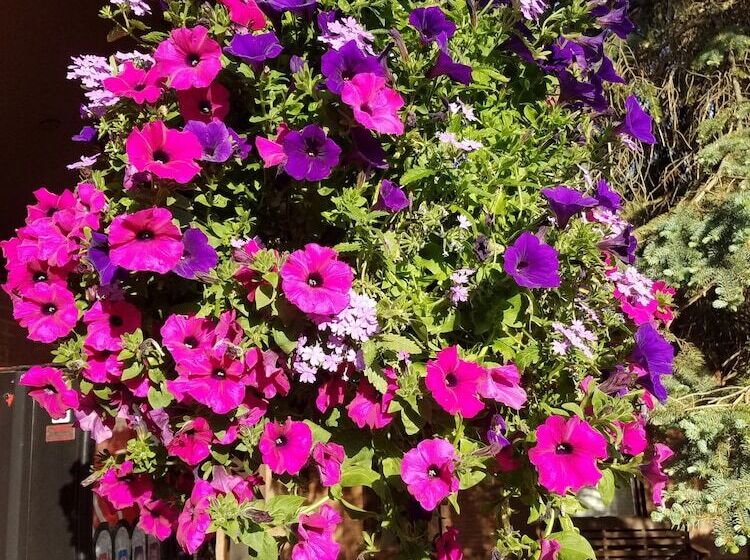 هتل Willard Munger Inn