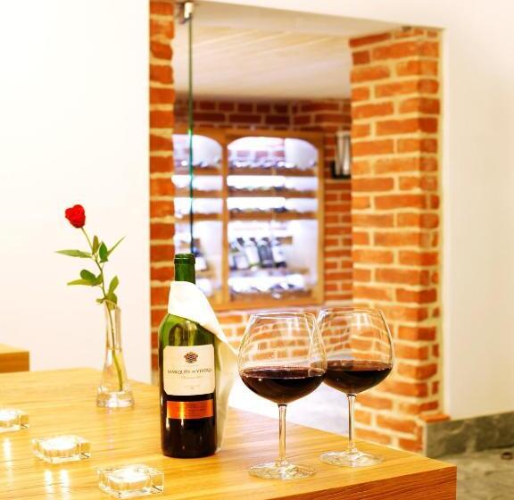 酒店 Zamek Centrum