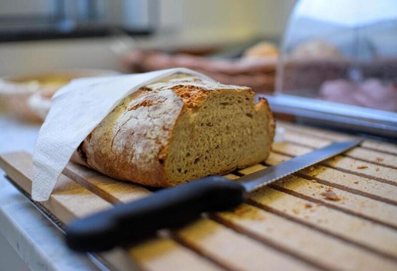 酒店 Zamek Centrum