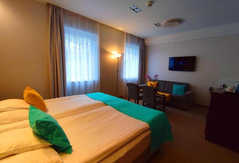 酒店 Zamek Centrum