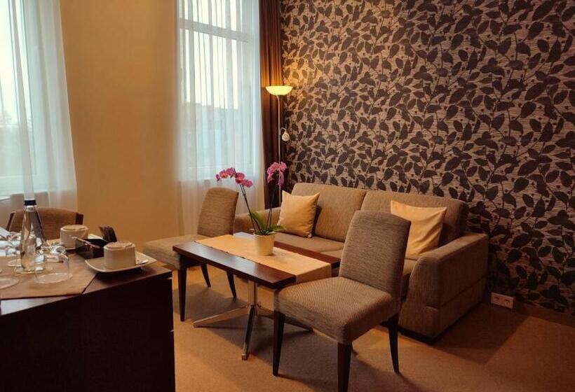 酒店 Zamek Centrum