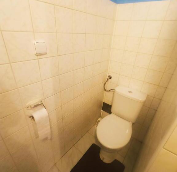 فندق صغير Hostinec U Kačaby