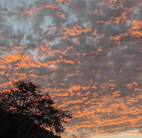 فندق صغير Wake In Himalayas