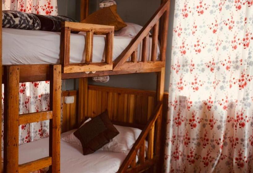 فندق صغير Wake In Himalayas