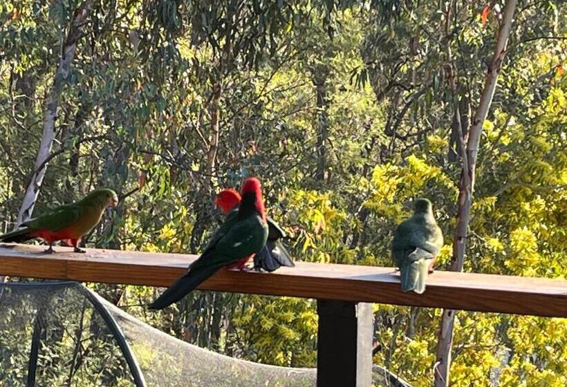 צימר Country Charm Coastal Living