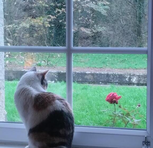 مبيت وإفطار Ecluse De L Ile