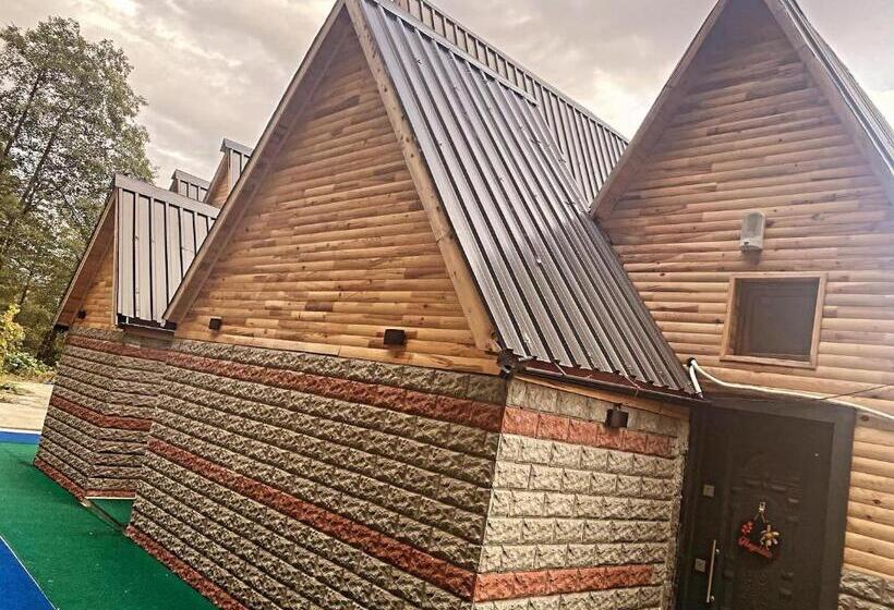 ベッドアンドブレックファースト Shatobungalov Suit