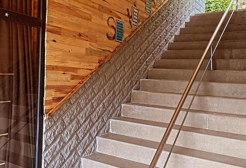 ベッドアンドブレックファースト Shatobungalov Suit