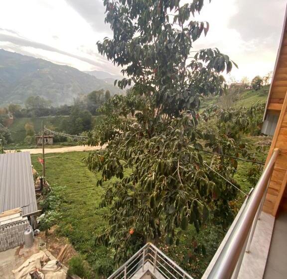 ベッドアンドブレックファースト Shatobungalov Suit