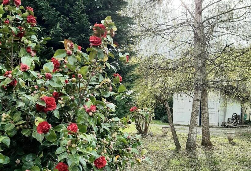 مبيت وإفطار The Cottage