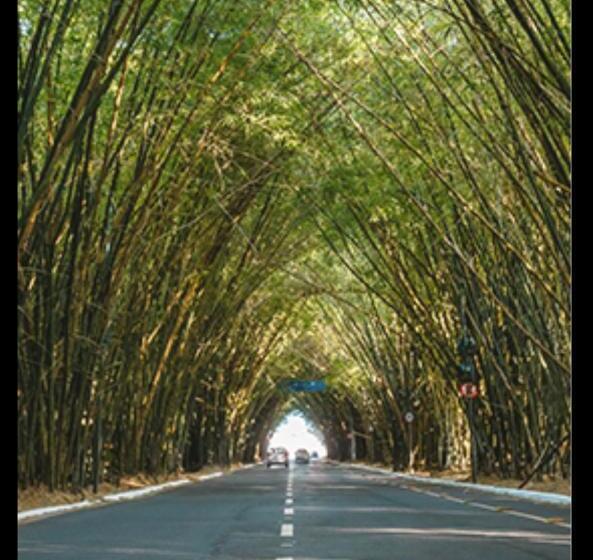 Hostel Massimo Camargo