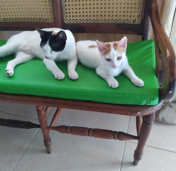 酒店 Altos Del Reposo Casa Campestre