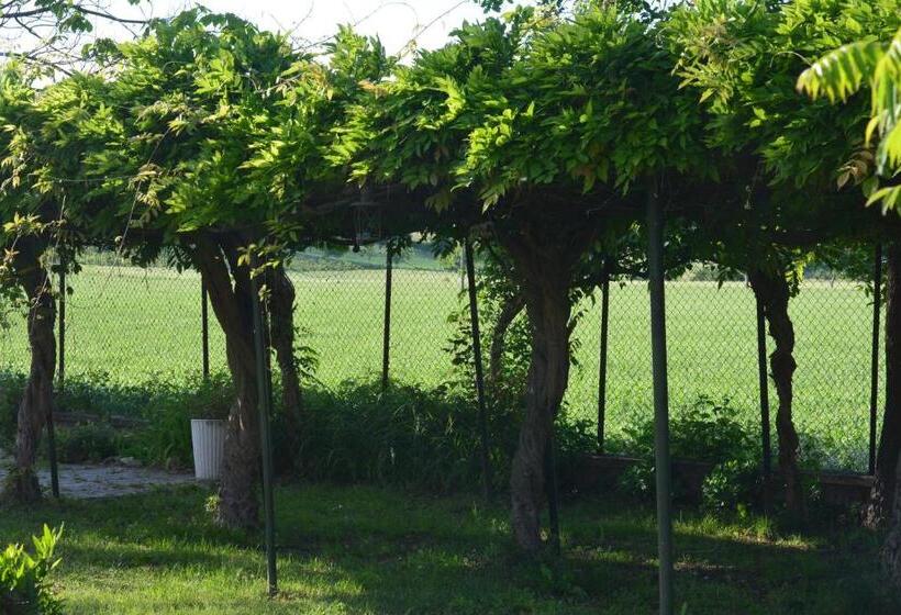 فندق Ca Os Locanda&grill