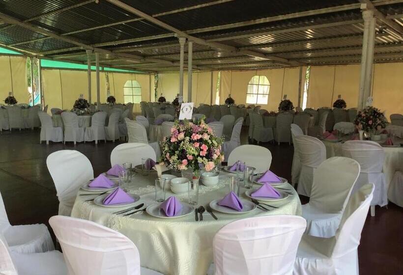 فندق Del Valle Inn Ixmiquilpan