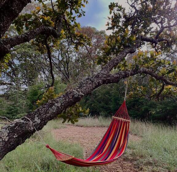 ホテル Rancho Los Siete