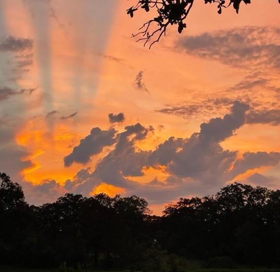 ホテル Rancho Los Siete