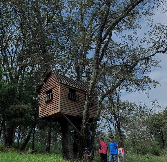 ホテル Rancho Los Siete