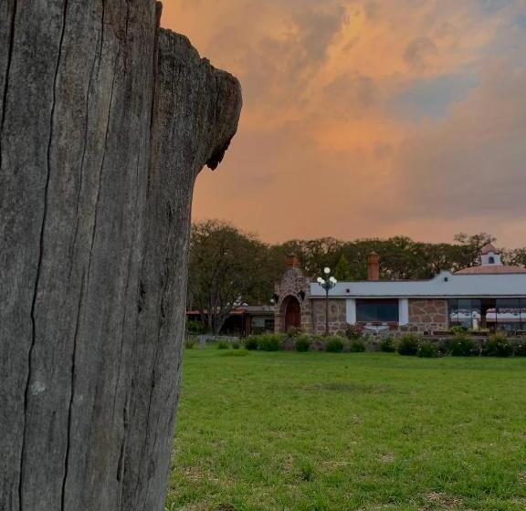 ホテル Rancho Los Siete