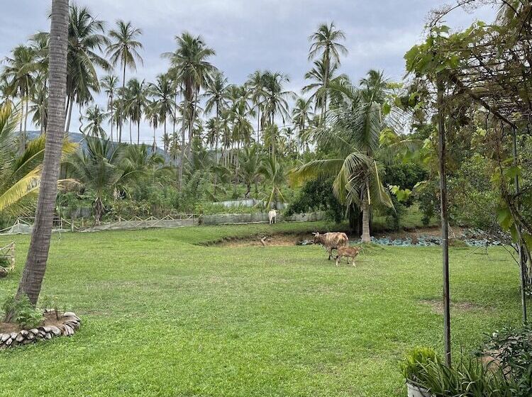 Hotel Rivendell Twisted Tree