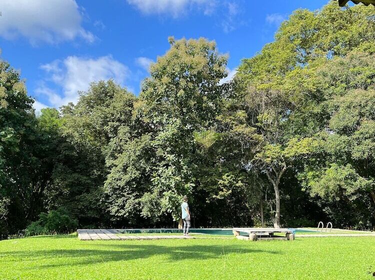 Hotel Rivendell Twisted Tree