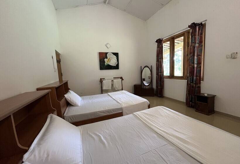 Szálloda Rivendell Twisted Tree