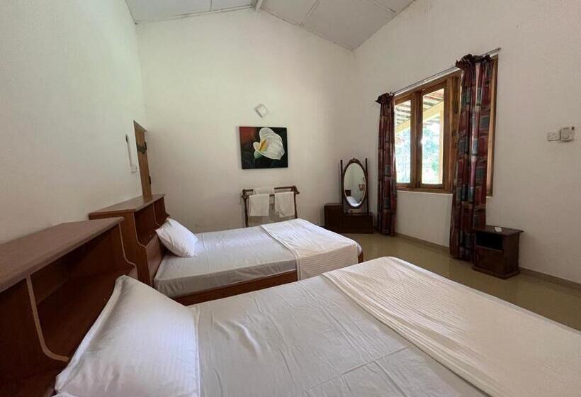 Hotel Rivendell Twisted Tree