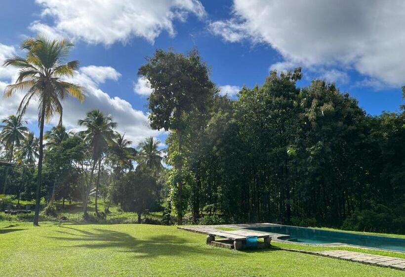 Hotel Rivendell Twisted Tree