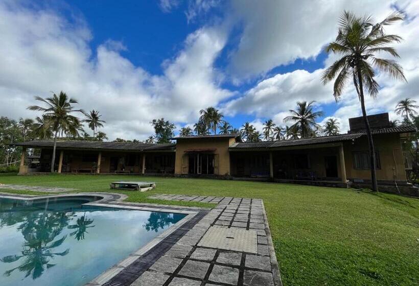 Hotel Rivendell Twisted Tree