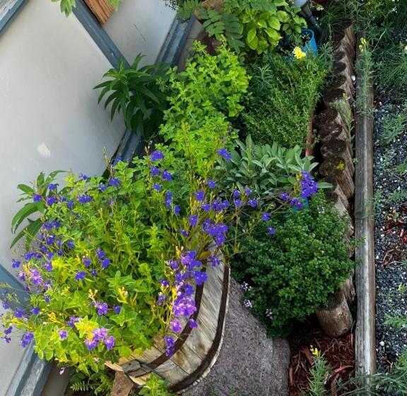 בית מלון כפרי The Kenai Inn