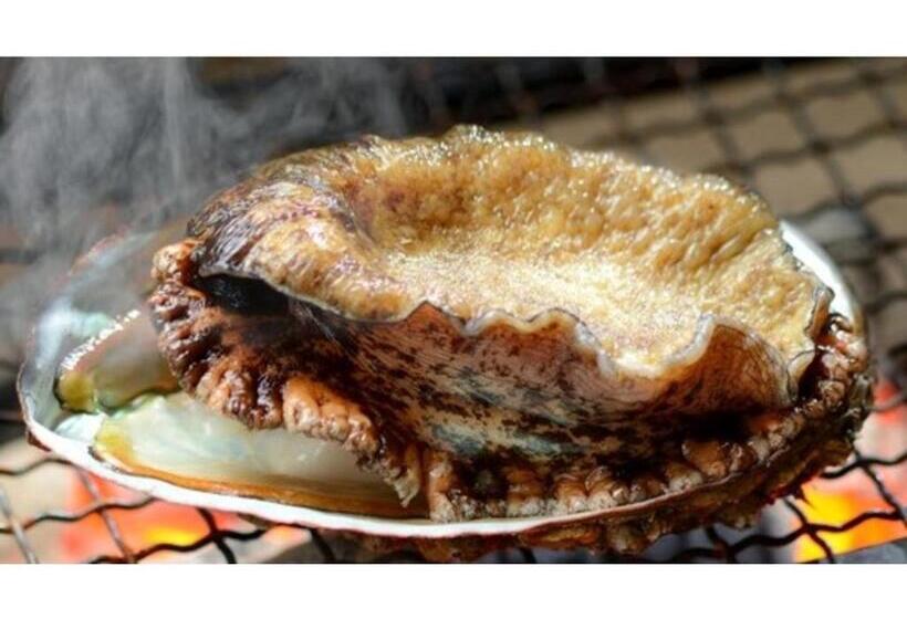 ホテル Yunohama Onsen Hanayubi Nihonkai   Vacation Stay 67567v