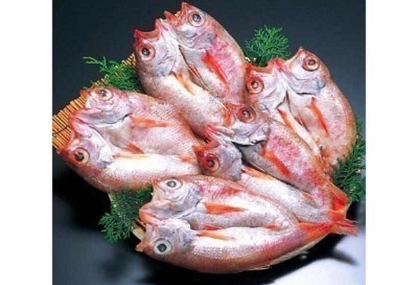 ホテル Yunohama Onsen Hanayubi Nihonkai   Vacation Stay 67567v