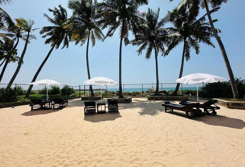 膳宿费 House By The Sea By Dbi