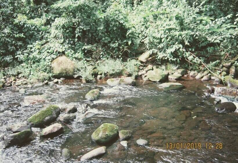 بنسيون Room In House   Habitacion Y Bano Independientes