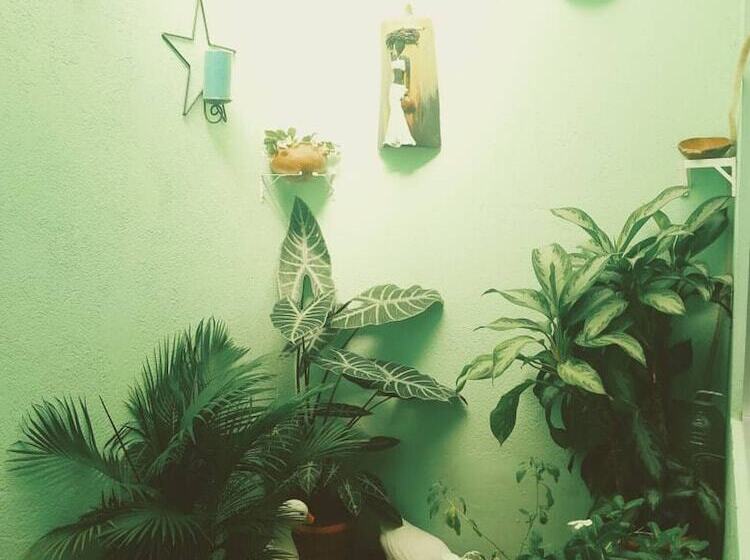 بنسيون Room In House   Habitacion Y Bano Independientes