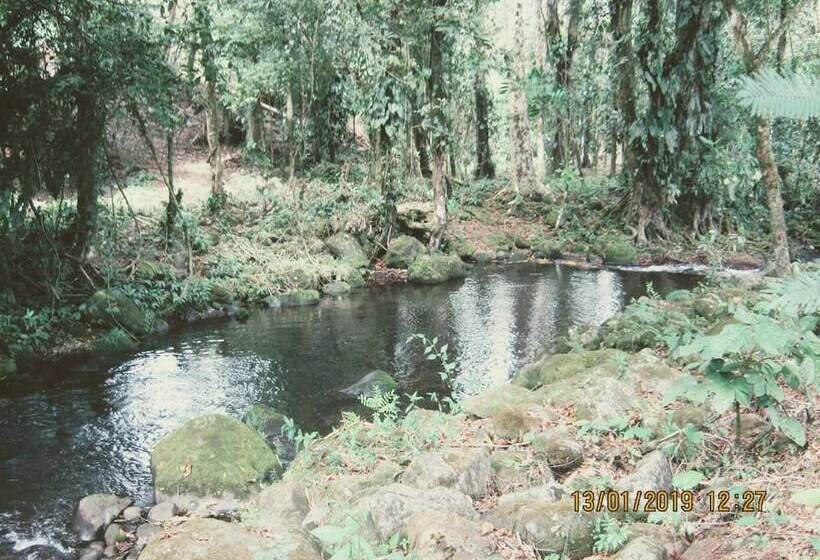 بنسيون Room In House   Habitacion Y Bano Independientes