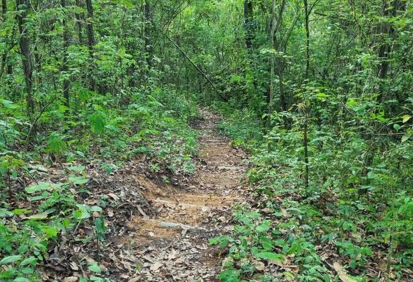 膳宿费 Sítio Roda D água