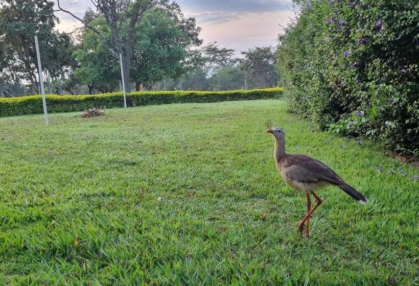 膳宿费 Sítio Roda D água