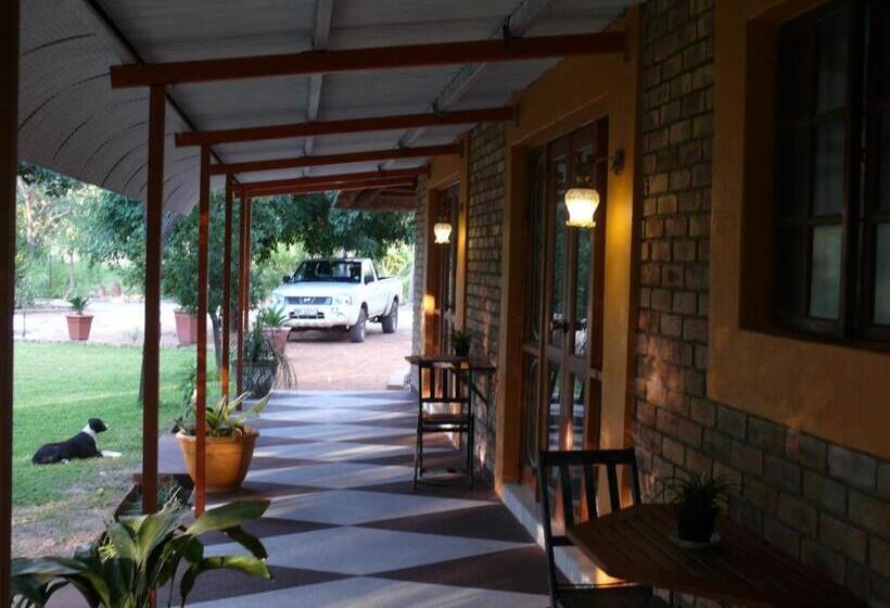 פנסיון The Orchid Guesthouse