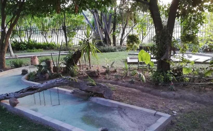 פנסיון The Orchid Guesthouse