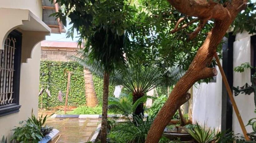 פנסיון Veronica House